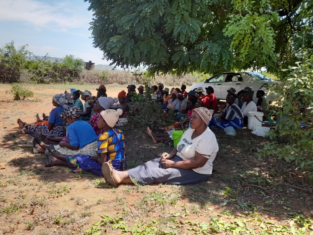 Lush community garden with irrigation channels in rural Zimbabwe